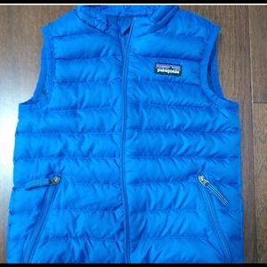 Patagonia 3T Down Vest
